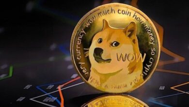 ارتداد نشاط حيتان Dogecoin: إليك مستوى ما وصلته هذه الحيتان؟