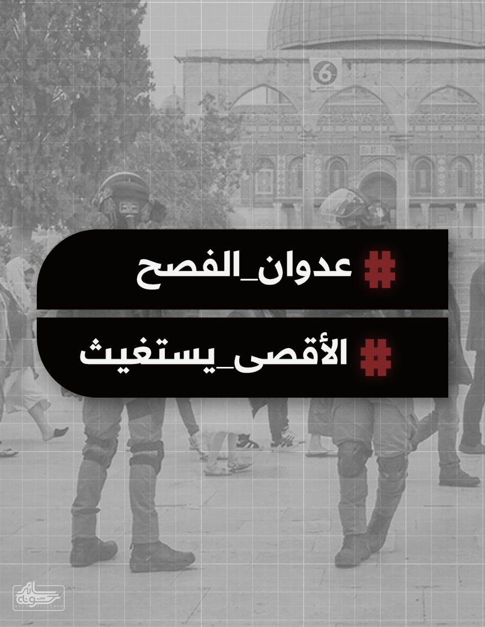 photo_2025-04-12_13-55-59 سائد حسونه | إعلاميون ونشطاء يغرودن ضد مخططات المستوطنين تجاه الأقصى في "عيد الفصح اليهودي"